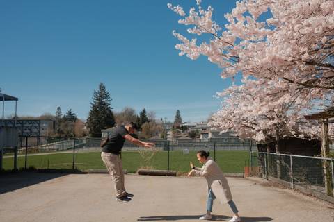 Cherry Blossoms
