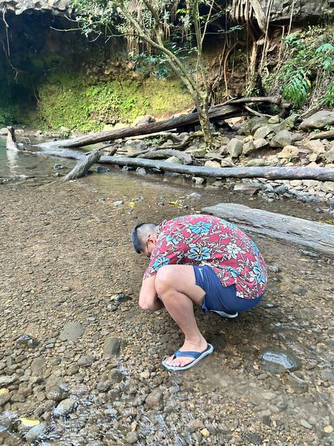 At Twin Falls