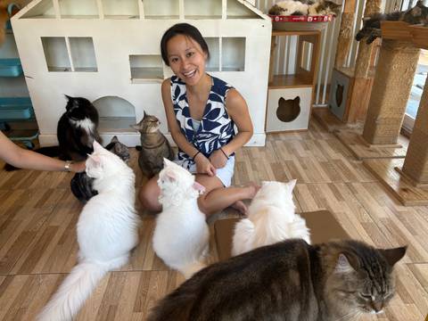 Cat Cafe!