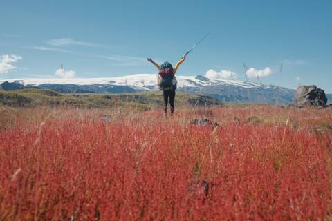 Red plants + Mountain